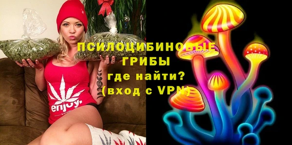 ГАЛЛЮЦИНОГЕННЫЕ ГРИБЫ Абаза