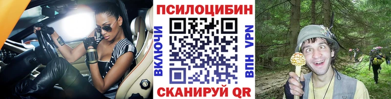 Псилоцибиновые грибы MAGIC MUSHROOMS  как найти закладки  Азнакаево 
